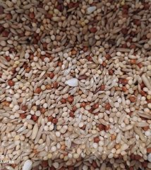 Mamaist Lüks Karışım Muhabbet Kuşu Yemi 500 GR