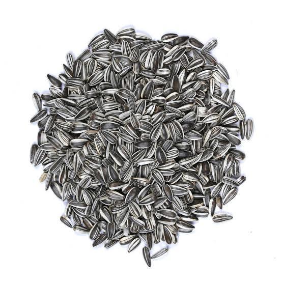 Vivid Bird Alacalı Küçük Çekirdek 1 KG (Bölünmüş)