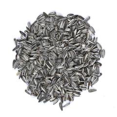 Vivid Bird Alacalı Küçük Çekirdek 1 KG (Bölünmüş)
