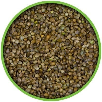 Küçük Taneli Kenevir Tohumu 500 GR (Bölünmüş)