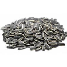 Vivid Bird Dakota Çekirdek 500 Gr (Bölünmüş)