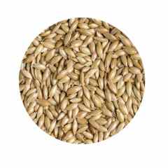 Hobby Sade Kanarya Yemi Aspur 500 GR (Bölünmüş)