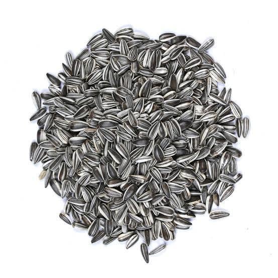 Vivid Bird Alacalı Küçük Çekirdek 500 GR (Bölünmüş)