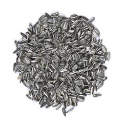 Vivid Bird Alacalı Küçük Çekirdek 250 GR (Bölünmüş)