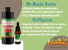 Röhnfried Bt-Amin Forte 30 ML