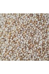 Vivid Ak Darı 500 GR (Bölünmüş)