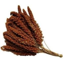 Mamaist Kızıl Daldarı Birinci Sınıf 250 Gr (Bölünmüş)