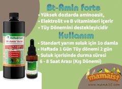 Röhnfried Bt-Amin Forte 20 ML