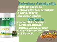 Röhnfried Entrobac Probiyotik Katkısı 15 GR (Bölünmüş)