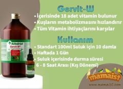 Röhnfried Gervit-W MultiVitamin Takviyesi 10 ML(Bölünmüş)