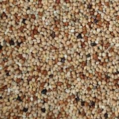 Mamaist Muhabbet Kuşları İçin Diyet Yem 1 KG
