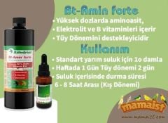 Röhnfried Bt-Amin Forte 50 ML (Bölünmüş)