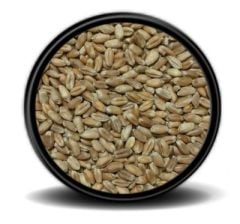 Hobi Kırmızı Buğday 1 KG (Bölünmüş)